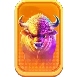 Buffalo
King