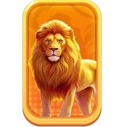 Lion
Safari